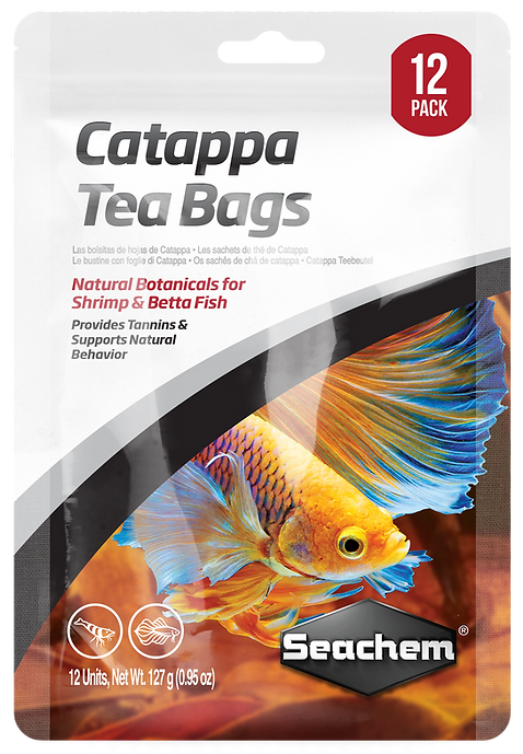 Catappa Tea Bags