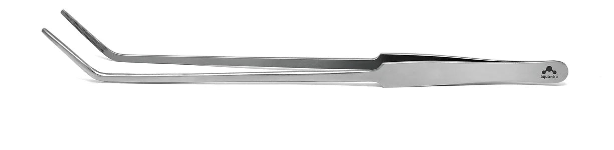 Forceps Fine Tip Curved
