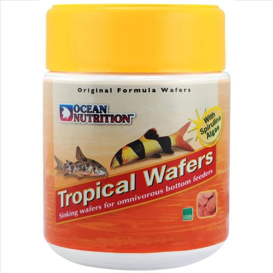 Tropical Wafer