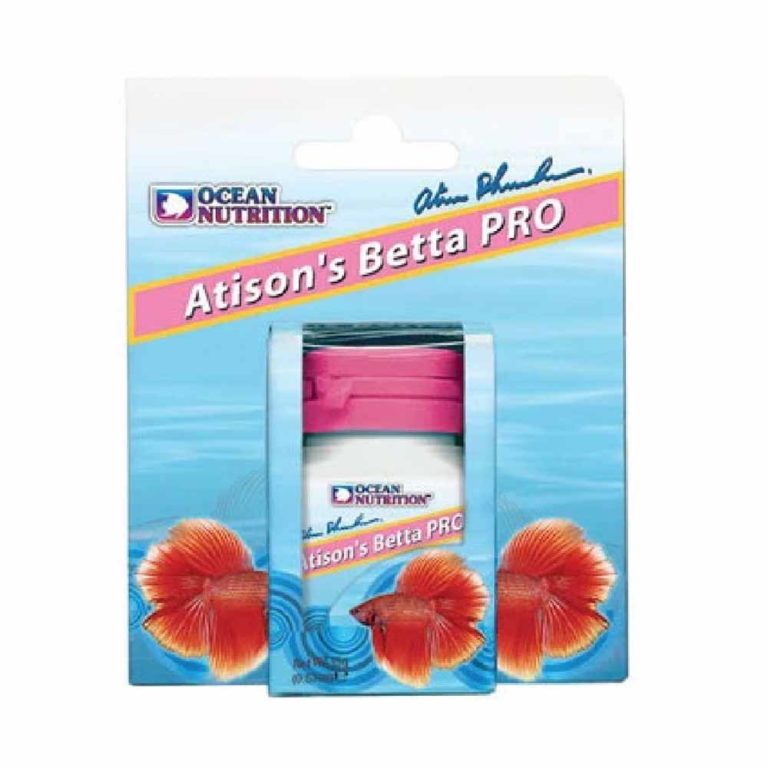 Atison Betta Pro
