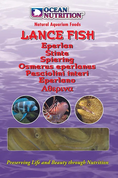 Frozen Lance Fish