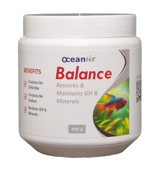 Balance 300g