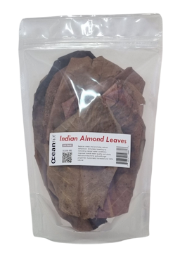 Indian Almond Leaves Large 10 Pack